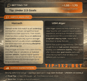 Sure Analyzed Football Tip